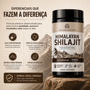 HIMALAYAN SHILAJIT