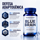 BLUE BRAIN™ — FÓRMULA 7 EM 1