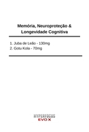 HYPERFOCUS EVO X - O NOOTRÓPICO MAIS AVANÇADO DO BRASIL (30 COMPOSTOS PREMIUM) - POTE COM 90 CÁPSULAS
