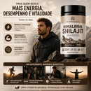 HIMALAYAN SHILAJIT