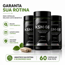 KSM-66® ASHWAGANDHA PREMIUM | 500mg — 60 CÁPSULAS
