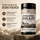 HIMALAYAN SHILAJIT