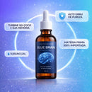 Blue Brain Essencial